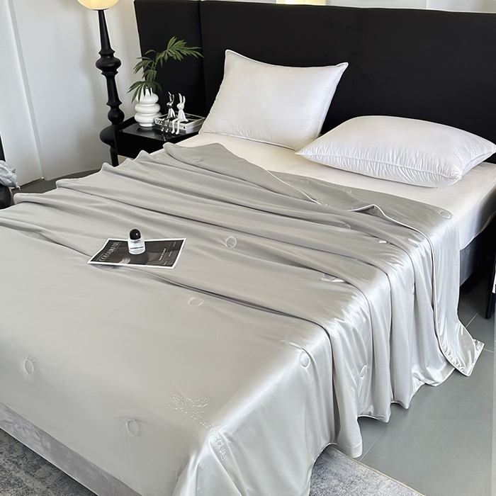 91家纺网 家纺一手货源 找家纺 织布人 2025新款夏被凉感丝大豆被夏凉被单人被轻奢学生宿舍空调被子被芯 凉感丝大豆夏被-奢华灰