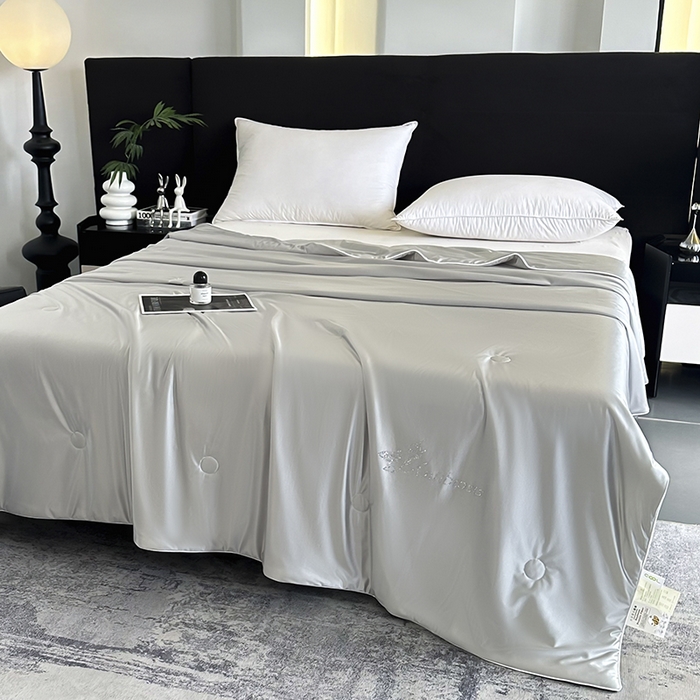 91家纺网 家纺一手货源 找家纺 织布人 2025新款夏被凉感丝大豆被夏凉被单人被轻奢学生宿舍空调被子被芯 凉感丝大豆夏被-奢华灰