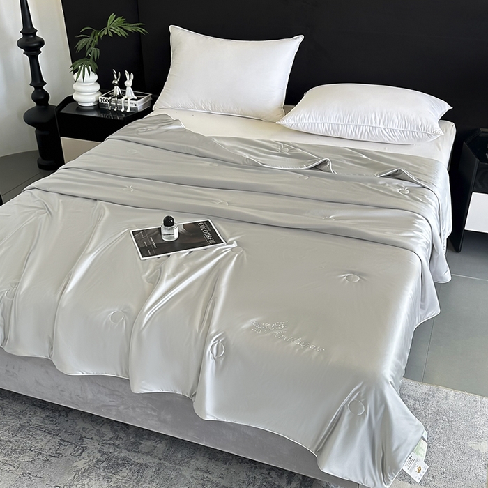 91家纺网 家纺一手货源 找家纺 织布人 2025新款夏被凉感丝大豆被夏凉被单人被轻奢学生宿舍空调被子被芯 凉感丝大豆夏被-奢华灰