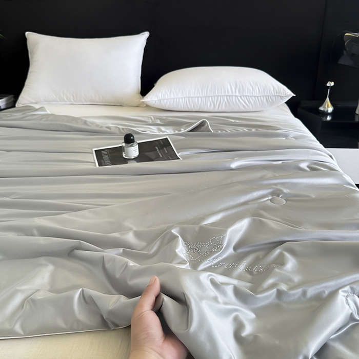 91家纺网 家纺一手货源 找家纺 织布人 2025新款夏被凉感丝大豆被夏凉被单人被轻奢学生宿舍空调被子被芯 凉感丝大豆夏被-奢华灰