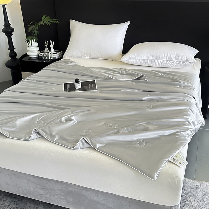 91家纺网 家纺一手货源 找家纺 织布人 2025新款夏被凉感丝大豆被夏凉被单人被轻奢学生宿舍空调被子被芯 凉感丝大豆夏被-奢华灰