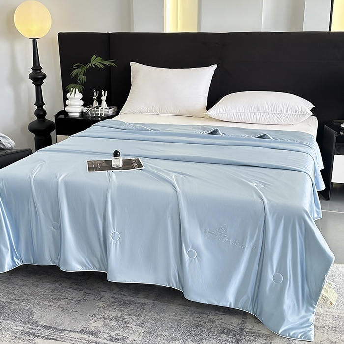 91家纺网 家纺一手货源 找家纺 织布人 2025新款夏被凉感丝大豆被夏凉被单人被轻奢学生宿舍空调被子被芯 凉感丝大豆夏被-天空蓝