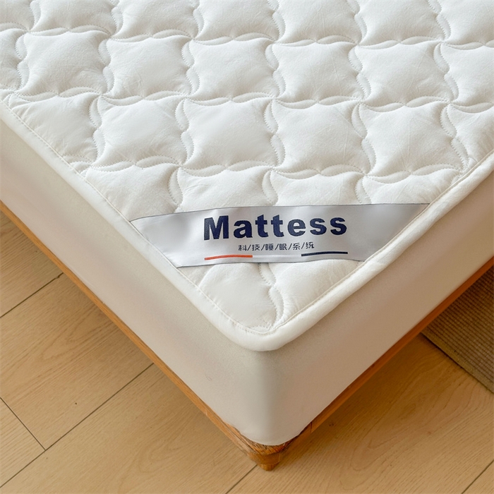 91家纺网 家纺一手货源 找家纺 3C 2025新款全棉水洗棉抗菌夹棉床垫褥子床护垫 波浪格-云朵白