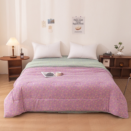 睡棉坊 2025新款全棉色织提花双层纱春秋被芯冬被 雪花飘