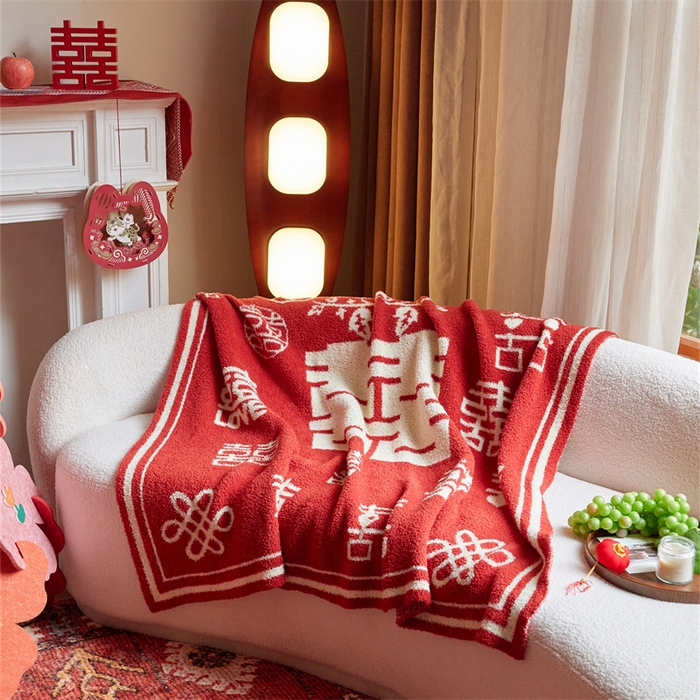 91家纺网 家纺一手货源 找家纺 （总）暖绵绵家纺 2025新款半边绒毯子-吉恩（最低零售价：173元）