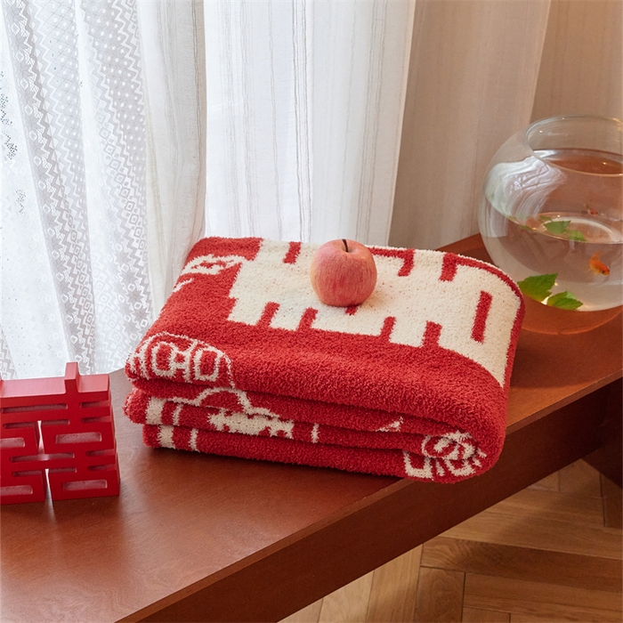 91家纺网 家纺一手货源 找家纺 （总）暖绵绵家纺 2025新款半边绒毯子-吉恩（最低零售价：173元）