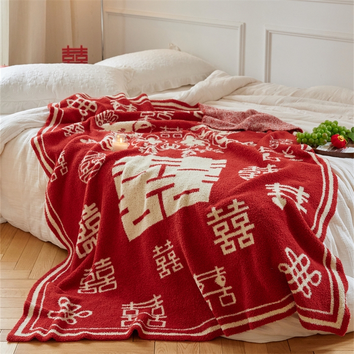 91家纺网 家纺一手货源 找家纺 （总）暖绵绵家纺 2025新款半边绒毯子-吉恩（最低零售价：173元）