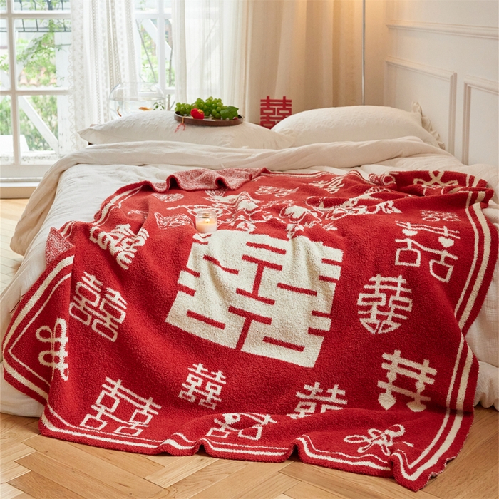 91家纺网 家纺一手货源 找家纺 （总）暖绵绵家纺 2025新款半边绒毯子-吉恩（最低零售价：173元）