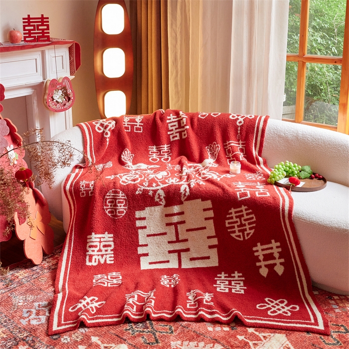 91家纺网 家纺一手货源 找家纺 （总）暖绵绵家纺 2025新款半边绒毯子-吉恩（最低零售价：173元）