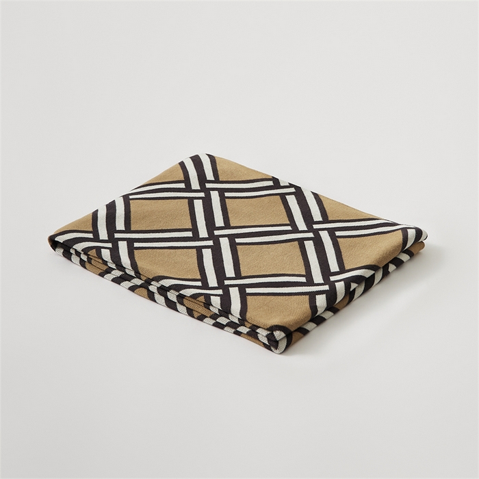 91家纺网 家纺一手货源 找家纺 （总）暖绵绵家纺 2025新款丝光棉毯子-莱里克（最低零售价：105元）