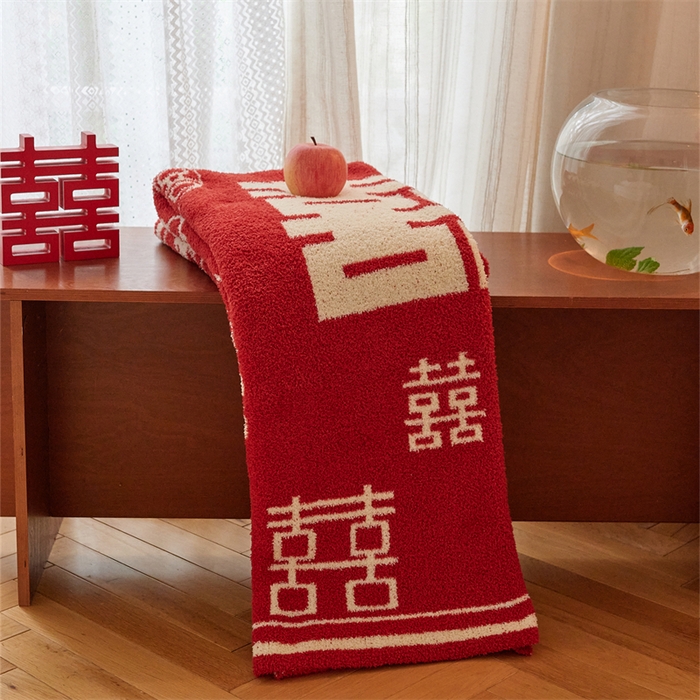 91家纺网 家纺一手货源 找家纺 （总）暖绵绵家纺 2025新款半边绒毯子-吉恩（最低零售价：173元）