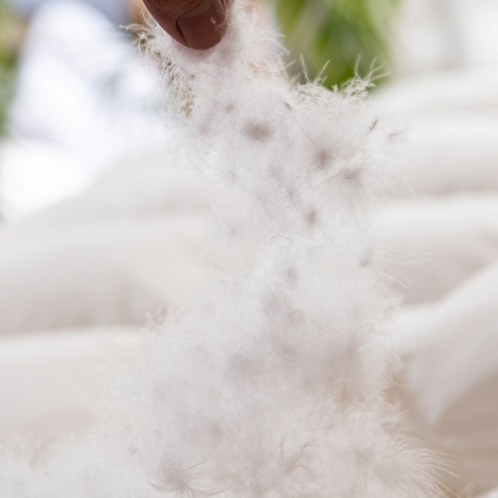 91家纺网 家纺一手货源 找家纺 （总）圣梦莱羽绒家纺 2025新款140支超薄匹马棉羽绒冬被 95鹅绒被子加厚被芯羽绒（假一赔十万元）