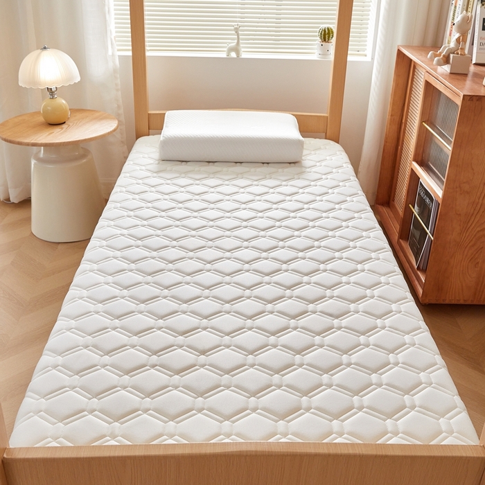 91家纺网 家纺一手货源 找家纺 （总）希廷顿 2025春夏新款足球宿舍床垫单床垫