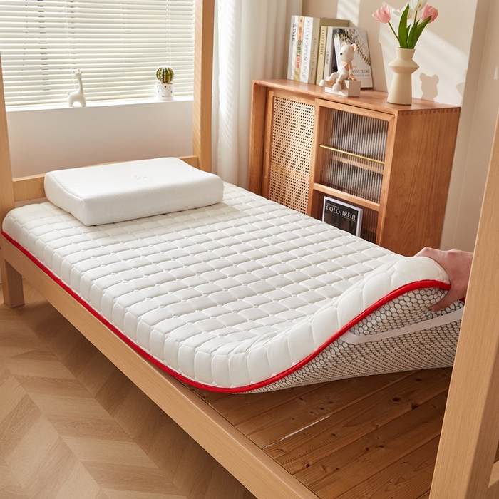 91家纺网 家纺一手货源 找家纺 希廷顿 2025春夏新款方格宿舍床垫单床垫 白色-方格-羽毛烫画