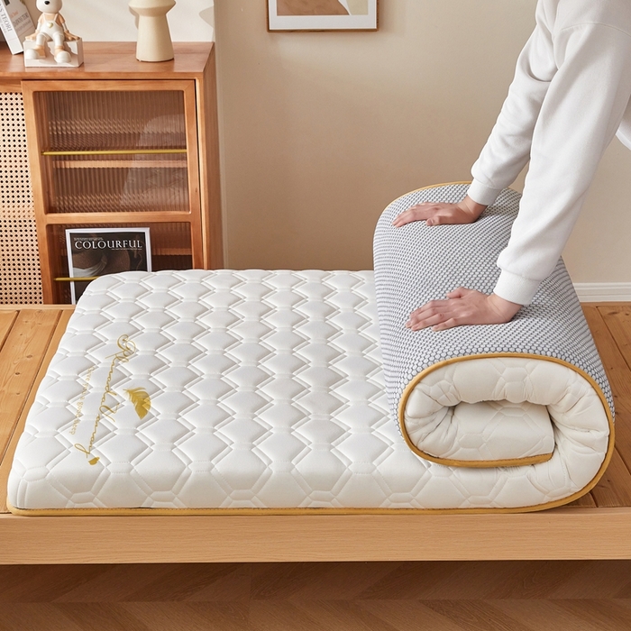 91家纺网 家纺一手货源 找家纺 希廷顿 2025春夏新款足球宿舍床垫单床垫 白色-足球-羽毛烫画