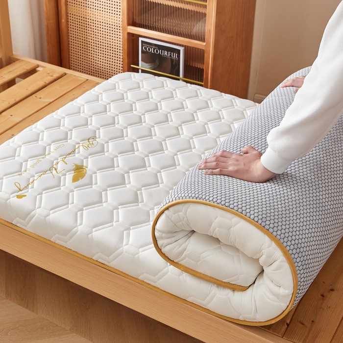 91家纺网 家纺一手货源 找家纺 希廷顿 2025春夏新款足球宿舍床垫单床垫 白色-足球-羽毛烫画