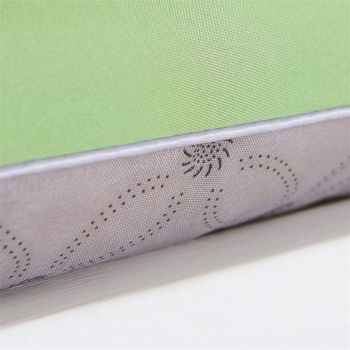 91家纺网 家纺一手货源 找家纺 瑶瑶家居2025新款大豆羽丝绒床垫 绿色-软垫