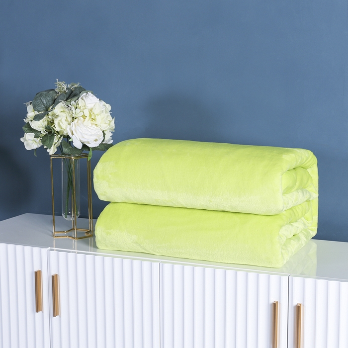 91家纺网 家纺一手货源 找家纺 （总）胜百毛毯2025新款素色200克法兰绒毯