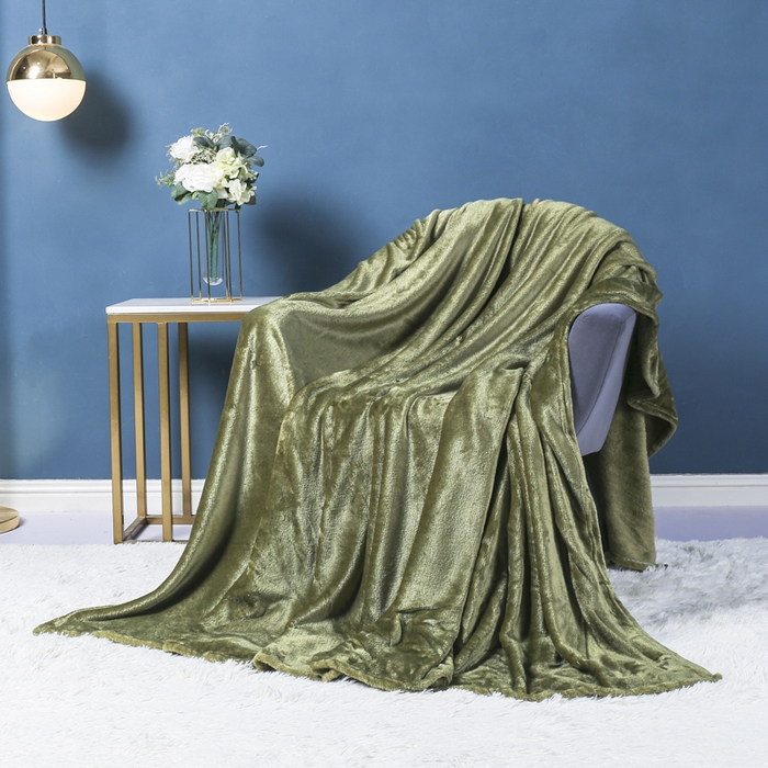 91家纺网 家纺一手货源 找家纺 胜百毛毯 2025新款平方克重200克双面法兰绒毛毯 白