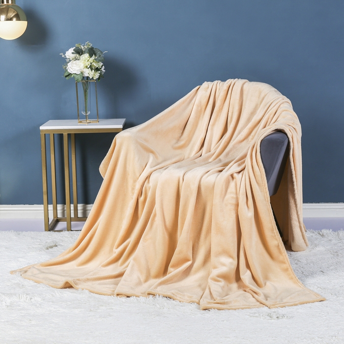 91家纺网 家纺一手货源 找家纺 胜百毛毯 2025新款平方克重200克双面法兰绒毛毯 白