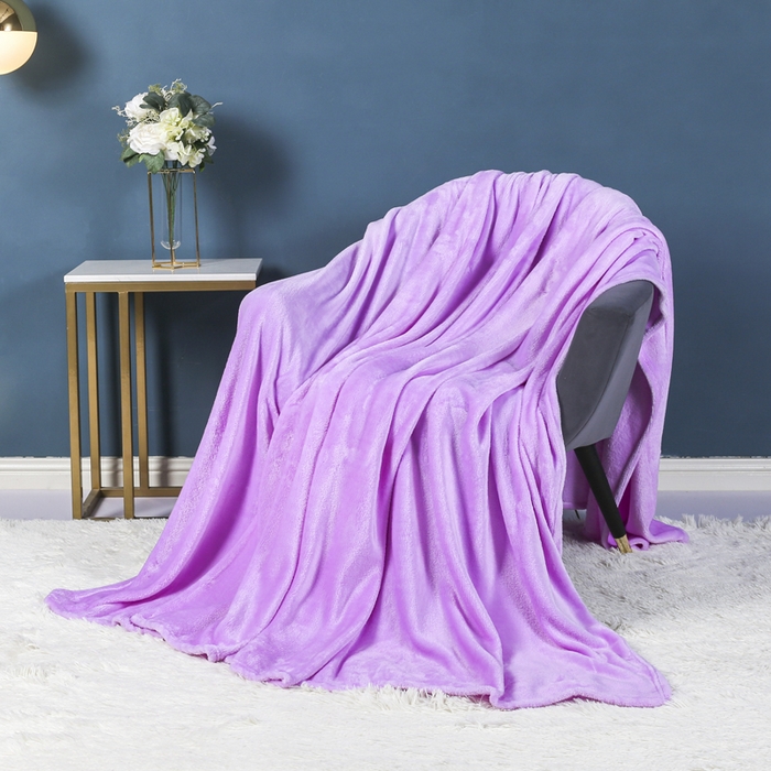 胜百毛毯2025新款素色200克法兰绒毯 浅紫