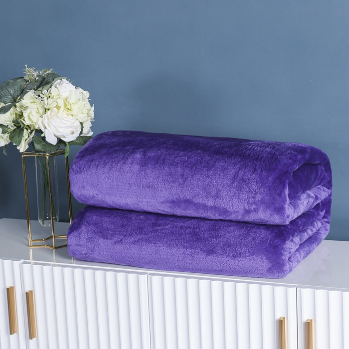 91家纺网 家纺一手货源 找家纺 胜百毛毯2025新款素色200克法兰绒毯 深紫