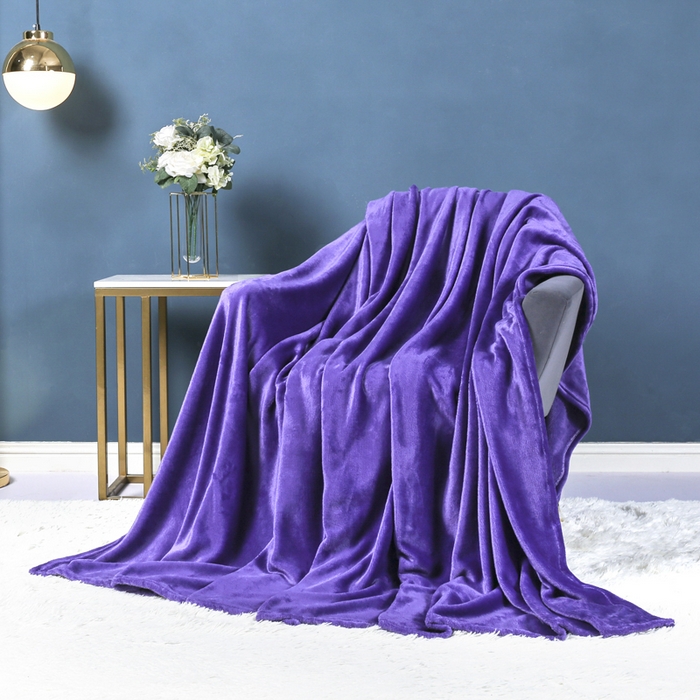 胜百毛毯2025新款素色200克法兰绒毯 深紫