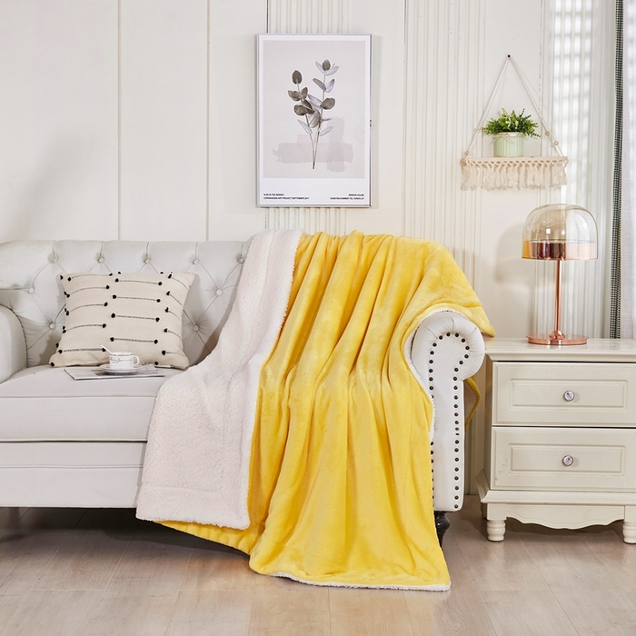 91家纺网 家纺一手货源 找家纺 （总）胜百毛毯 2025新款平方克重200克双面法兰绒毛毯