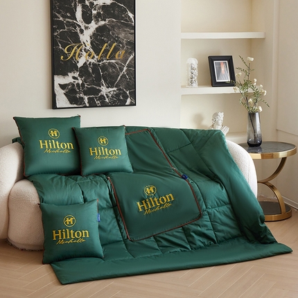 91家纺网 家纺一手货源 找家纺 （总）宝马家纺（原梦童画） 2025新款全棉刺绣希尔顿四季款抱枕被