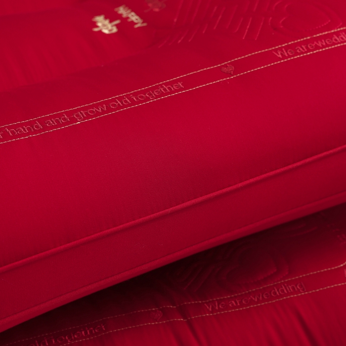 91家纺网 家纺一手货源 找家纺 大熊枕芯2025新款全棉贡缎 刺绣款婚庆枕芯 定型枕一对