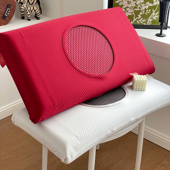 91家纺网 家纺一手货源 找家纺 （总）靓星家纺 2025新款红石榴黑金凝胶枕枕头枕芯