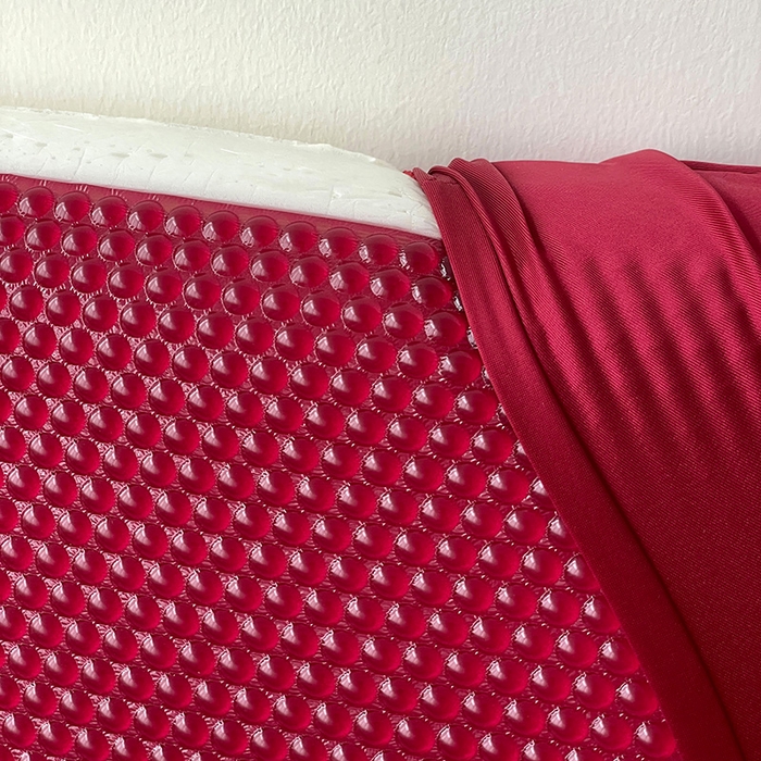 91家纺网 家纺一手货源 找家纺 靓星家纺 2025新款红石榴黑金凝胶枕枕头枕芯 组合图仅供参考 40x70cm/只