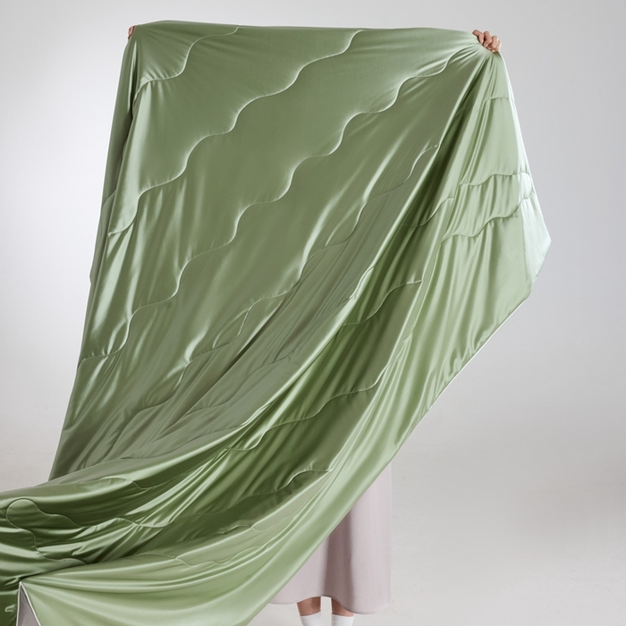 91家纺网 家纺一手货源 找家纺 丽卡家纺2025新款冰丽丝锦氨凉感夏被子被芯 青草绿+浅银灰