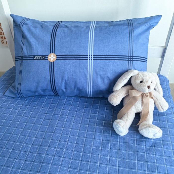 91家纺网 家纺一手货源 找家纺 锦彩家居 2025新款正宗13372全棉学生三件套全棉印花学生宿舍上下铺三件套（量大可定制价格可谈）提供买家秀 经典蓝格