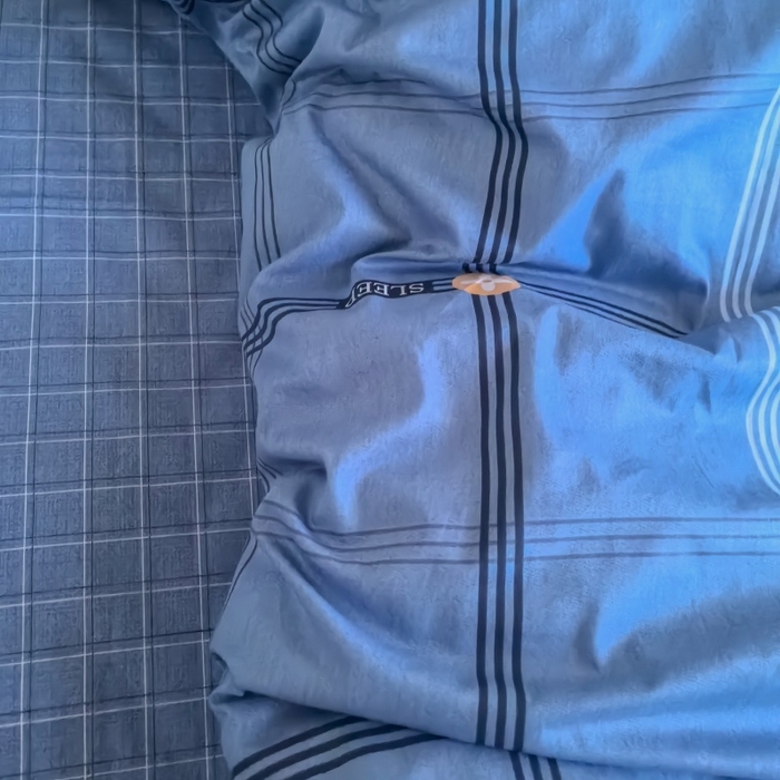 91家纺网 家纺一手货源 找家纺 锦彩家居 2025新款正宗13372全棉学生三件套全棉印花学生宿舍上下铺三件套（量大可定制价格可谈）提供买家秀 经典蓝格