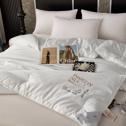 （總）喜糯糯 2025年新款春秋加厚款蠶絲被被芯四季被子直播供貨