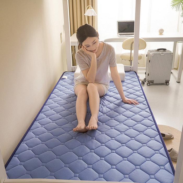 91家纺网 家纺一手货源 找家纺 亿丁点床垫 2025春夏新款牛奶丝记忆棉格子床垫 牛奶丝记忆海绵大小格子 蓝