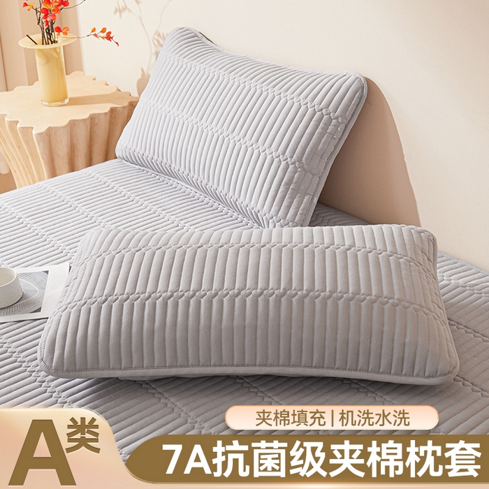 雯豆家纺 2025新款简爱夹棉加厚枕套单只一对装水洗棉纯色枕芯保护套 简爱-暮云灰