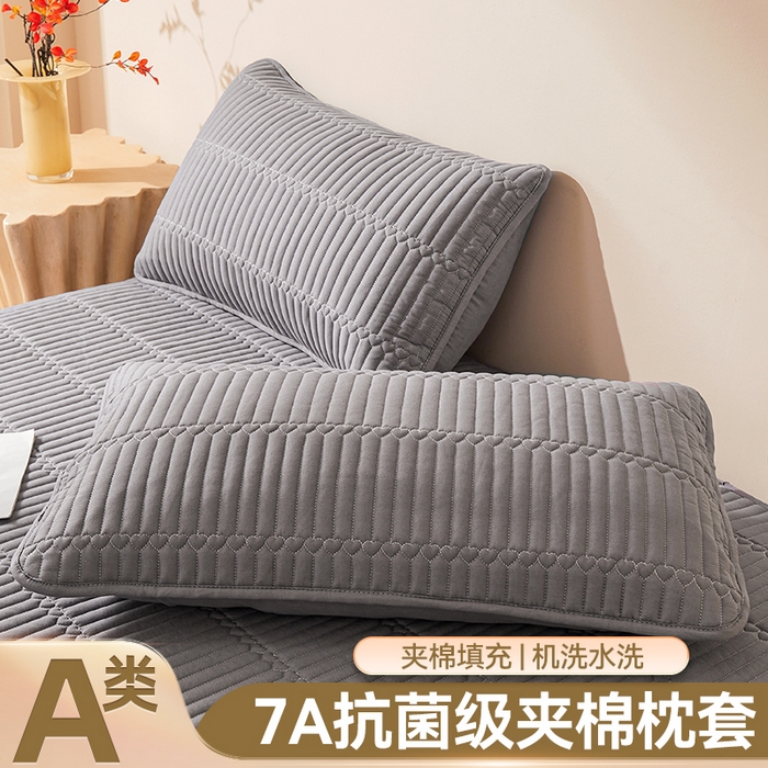 雯豆家纺 2025新款简爱夹棉加厚枕套单只一对装水洗棉纯色枕芯保护套 简爱-深空灰