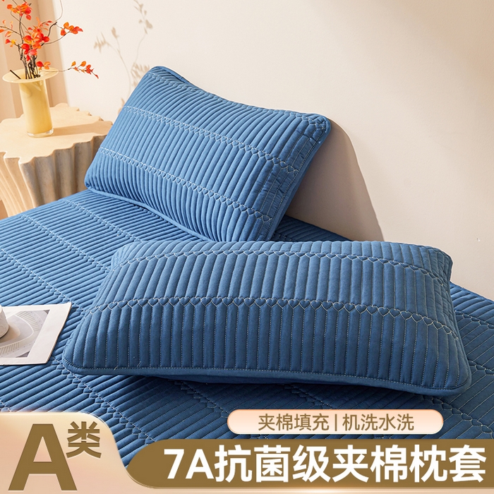 雯豆家纺 2025新款简爱夹棉加厚枕套单只一对装水洗棉纯色枕芯保护套 简爱-黛蓝