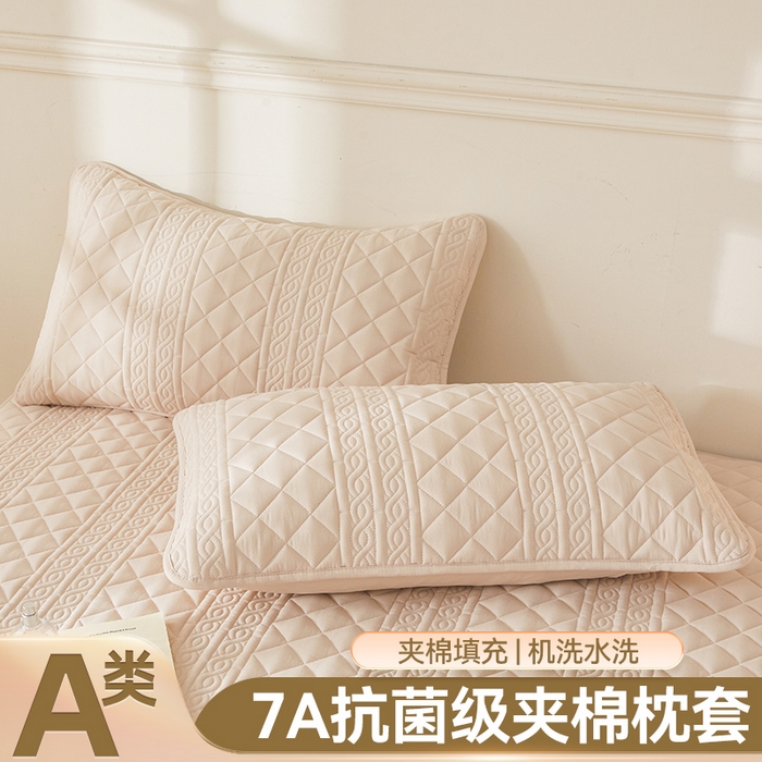 （总）雯豆家纺 2025新品夹棉加厚枕套单只一对装7A抗菌水洗棉纯色枕芯保护套