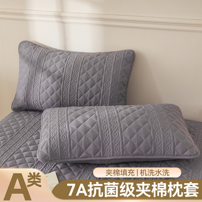 雯豆家纺 2025新款简爱夹棉加厚枕套单只一对装水洗棉纯色枕芯保护套 梵可-深空灰