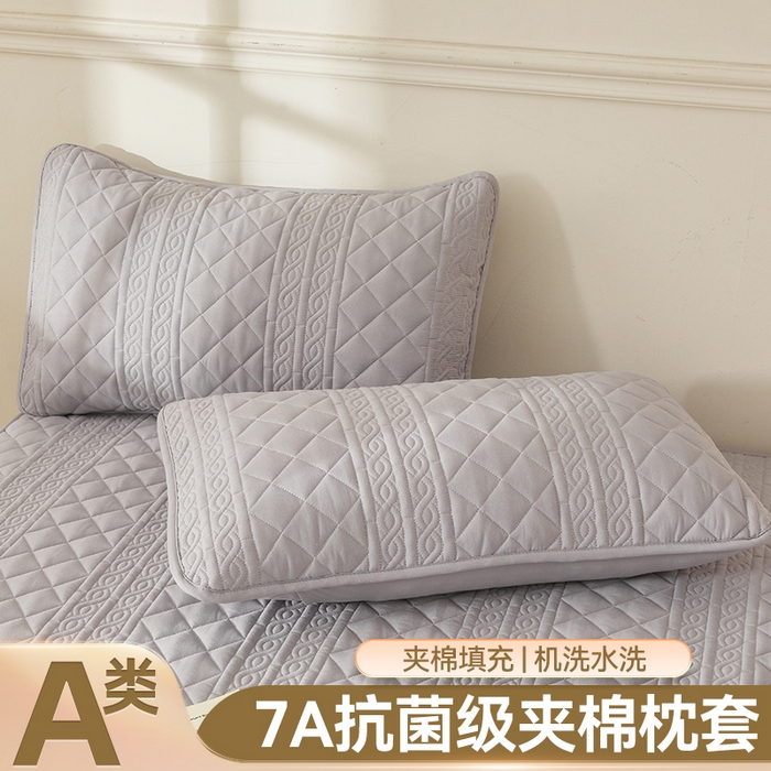 雯豆家纺 2025新款简爱夹棉加厚枕套单只一对装水洗棉纯色枕芯保护套 梵可-暮云灰