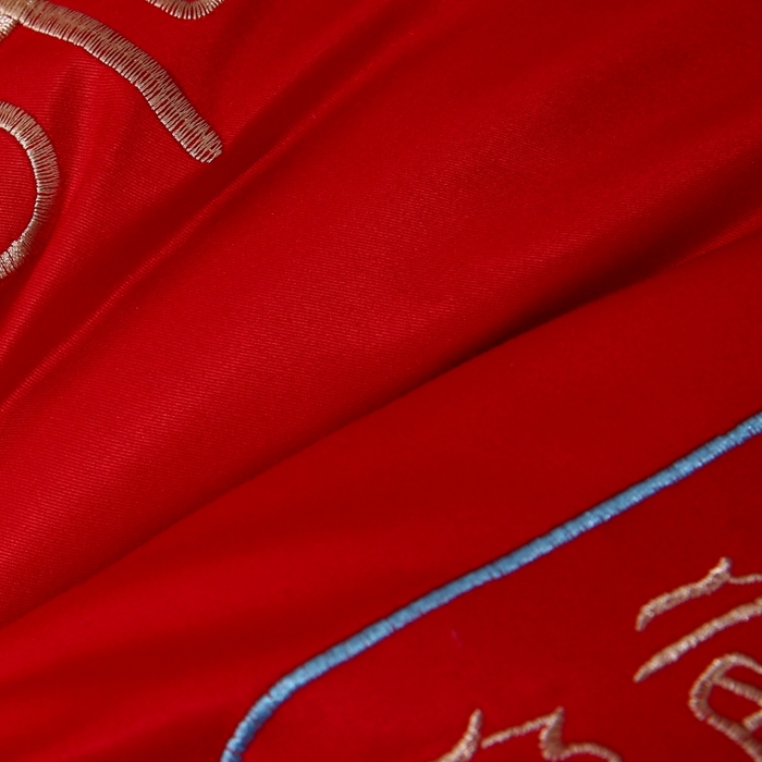 91家纺网 家纺一手货源 找家纺 珍贝家纺 2025新款婚庆枕大红枕芯结婚专用枕头枕芯 双喜临门 48x74cm/只