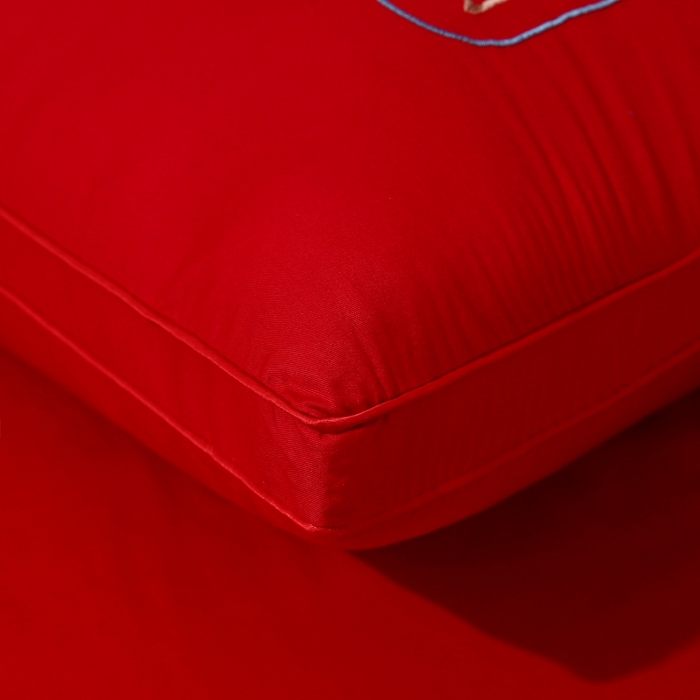 91家纺网 家纺一手货源 找家纺 珍贝家纺 2025新款婚庆枕大红枕芯结婚专用枕头枕芯 双喜临门 48x74cm/对