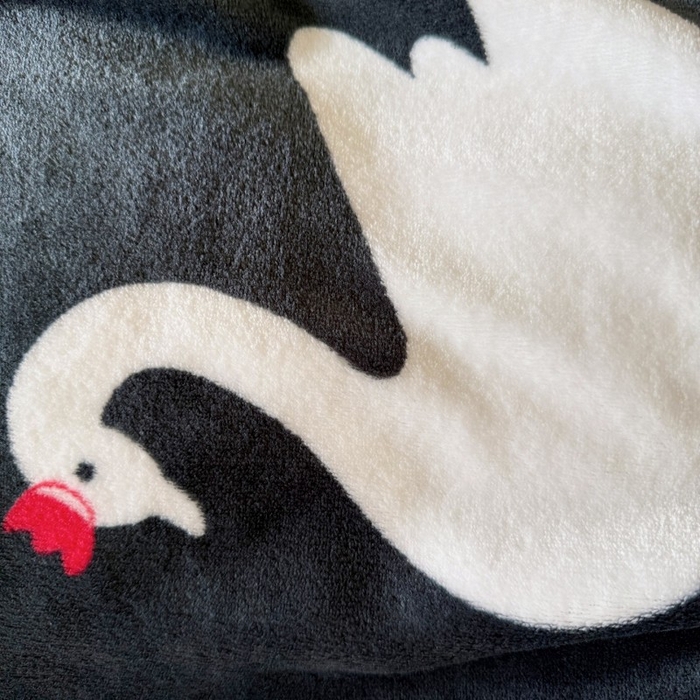 91家纺网 家纺一手货源 找家纺 顾里家纺 2025新款ins少女奶油系双面牛奶绒毯-第二组 黑天鹅