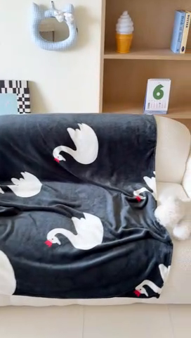 91家纺网 家纺一手货源 找家纺 顾里家纺 2025新款ins少女奶油系双面牛奶绒毯-第二组 黑天鹅