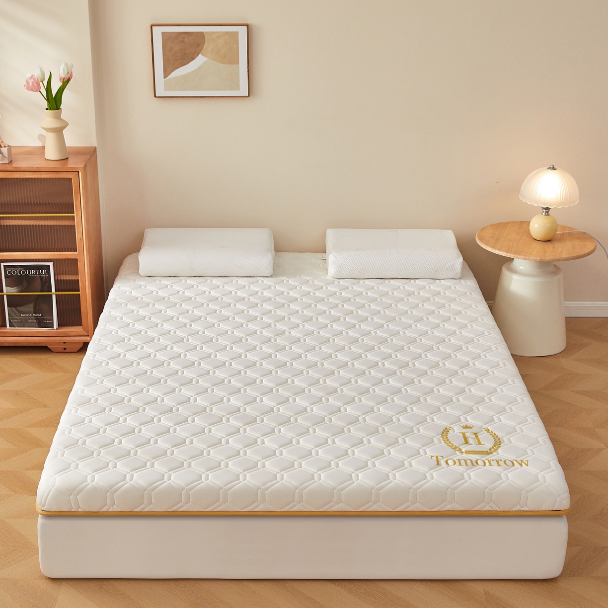 91家纺网 家纺一手货源 找家纺 希廷顿 2025春夏新款足球床垫单床垫 白色-足球-H烫画