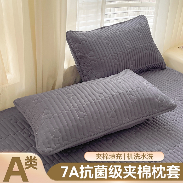 雯豆家纺 2025新品夹棉枕套枕芯保护套一对装单只枕皮 洛川-深空灰