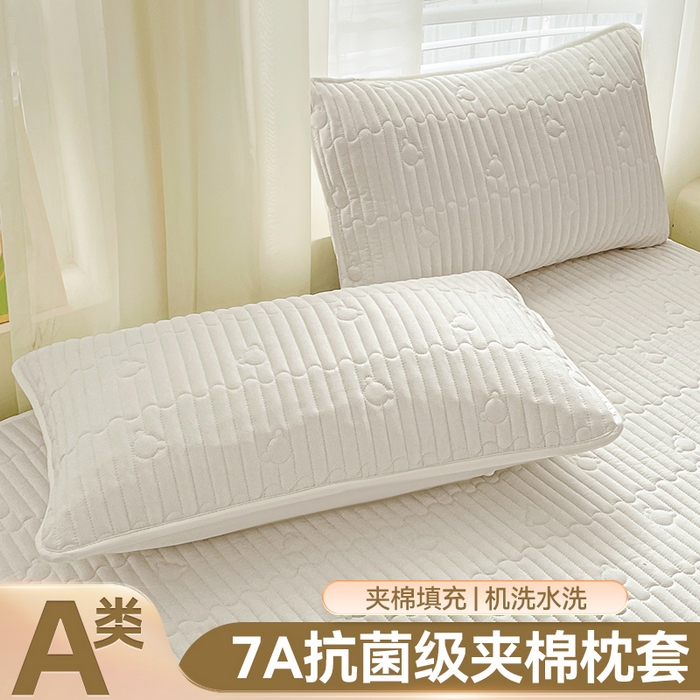雯豆家纺 2025新品夹棉枕套枕芯保护套一对装单只枕皮 洛川-月光白